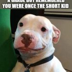 and no, I cannot relate to this | WHEN YOU HAVE TO REPEAT A GRADE BUT REMEMBERED YOU WERE ONCE THE SHORT KID | image tagged in at least dog | made w/ Imgflip meme maker