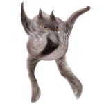 Neoberezhnometano