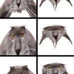 Neoberezhnometano