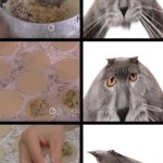 Oberezhnometano meme