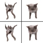 Neoberezhnometano