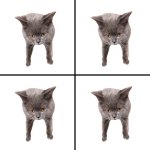 Oberezhnometano