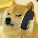 Doge on phone