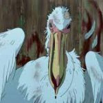 old bird
