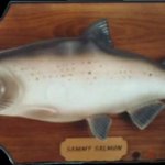 FEESH!