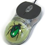 The Bug Inside
