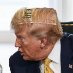 Where'd The Epstein Files Go?