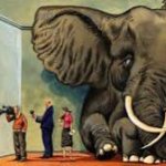 Elephant in the room