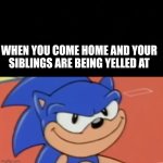 Siblings am i right | WHEN YOU COME HOME AND YOUR SIBLINGS ARE BEING YELLED AT | image tagged in smug sonic | made w/ Imgflip meme maker