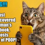 Posting poop | I just now discovered my human's Facebook. He posts pictures of POOP! OMG!!! | image tagged in cat with phone | made w/ Imgflip meme maker