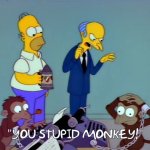 You Stupid Monkey!