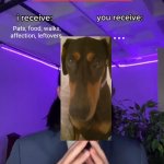 Trade Offer | Pats, food, walks, affection, leftovers; ... | image tagged in trade offer,cute dog,dogs pets funny,dogs,funny | made w/ Imgflip meme maker