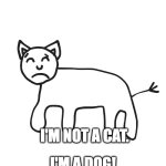 I'm not a cat, I'm a dog! | I'M NOT A CAT. I'M A DOG! | image tagged in cynical cat | made w/ Imgflip meme maker