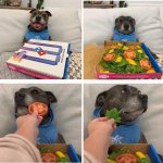 Dog gets shafted