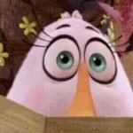 Angry bird Terrence GIF Template