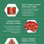 Wholesale Tomato Paste China