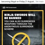 Ninja sword