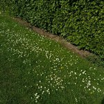 Go outside To Touch Grass