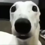 Mage game funny GIF Template