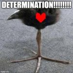 DETERMINATION!!!!!! meme
