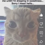 Hello meme