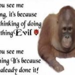evil-monkey