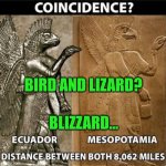 Funny | BIRD AND LIZARD? BLIZZARD... | image tagged in funny,ancient aliens,purse,bird,lizard,coincidence | made w/ Imgflip meme maker