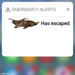 B24y | Has escaped | image tagged in emergency alert,drug addiction | made w/ Imgflip meme maker
