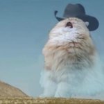 Screaming Cowboy Cat