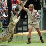 Steve Irwin Baby