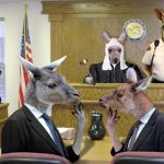 Kangaroo Court