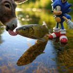 sANIC kISS dONK fISH
