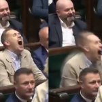 berkowicz śmiech sejm