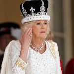 Thoughtful queen camilla