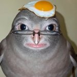 eggbird