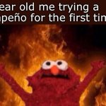 I was not prepared for it in the slightest- | 8 year old me trying a jalapeño for the first time: | image tagged in hellmo,memes,funny,pepper,jalapeno | made w/ Imgflip meme maker