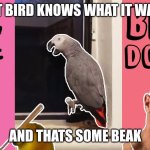 Suck Bird | THAT BIRD KNOWS WHAT IT WANTS; AND THATS SOME BEAK | image tagged in suck bird | made w/ Imgflip meme maker