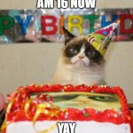 Yippeeeee | AM 16 NOW; YAY | image tagged in memes,grumpy cat birthday,grumpy cat | made w/ Imgflip meme maker