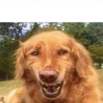 Laughing Dog