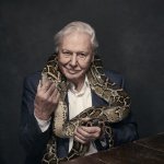 D Atten Snake