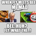when fly meets bee