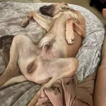 Teacher Exhaustion