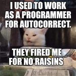 Smudge that darn cat | I USED TO WORK AS A PROGRAMMER FOR AUTOCORRECT. THEY FIRED ME FOR NO RAISINS | image tagged in smudge that darn cat | made w/ Imgflip meme maker
