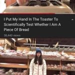 bread meme