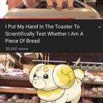 dog became bread | image tagged in bread,pokemon,dogs,doge,funny memes,youtuber | made w/ Imgflip meme maker