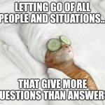 Cat relax in bed | LETTING GO OF ALL PEOPLE AND SITUATIONS... THAT GIVE MORE QUESTIONS THAN ANSWERS | image tagged in cat relax in bed | made w/ Imgflip meme maker