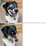 Expectations vs Reality Dog