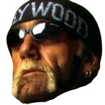 Hollywood Hulk Hogan face