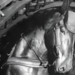 side eye horse