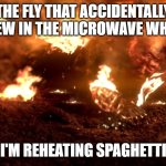 The fly | THE FLY THAT ACCIDENTALLY FLEW IN THE MICROWAVE WHEN; I'M REHEATING SPAGHETTI | image tagged in anakin burning | made w/ Imgflip meme maker